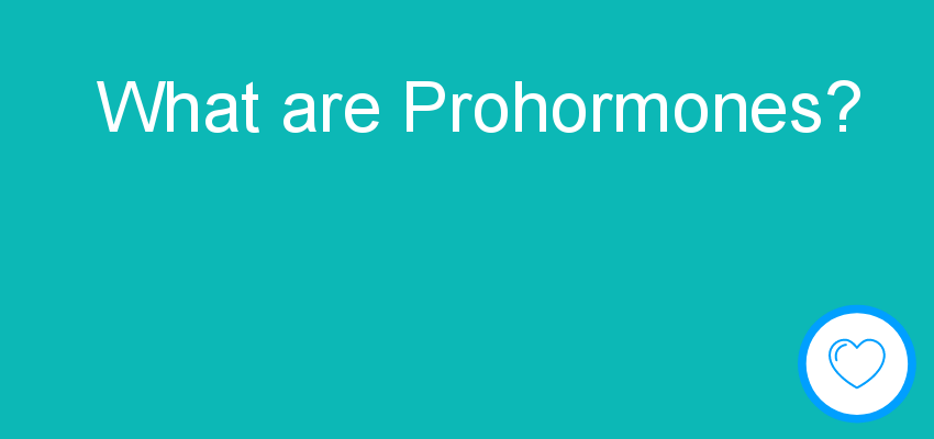 What are Prohormones?