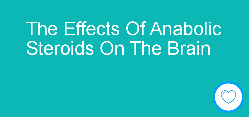 The Effects Of Anabolic Steroids On The Brain