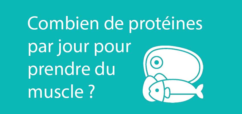 Combien faut-il prendre de protéines par jour pour prendre du muscle ?